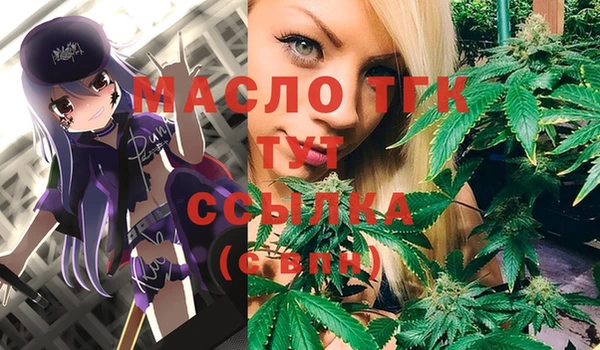гашик Горнозаводск