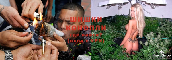 гашик Горнозаводск
