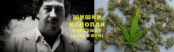 гидропоника Горно-Алтайск